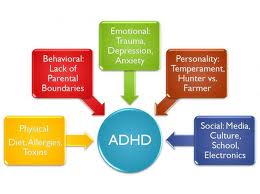 adhd causes diagnosis treatment and trends bhm healthcare